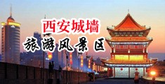 欣赏美女的毛骚逼福利视频中国陕西-西安城墙旅游风景区